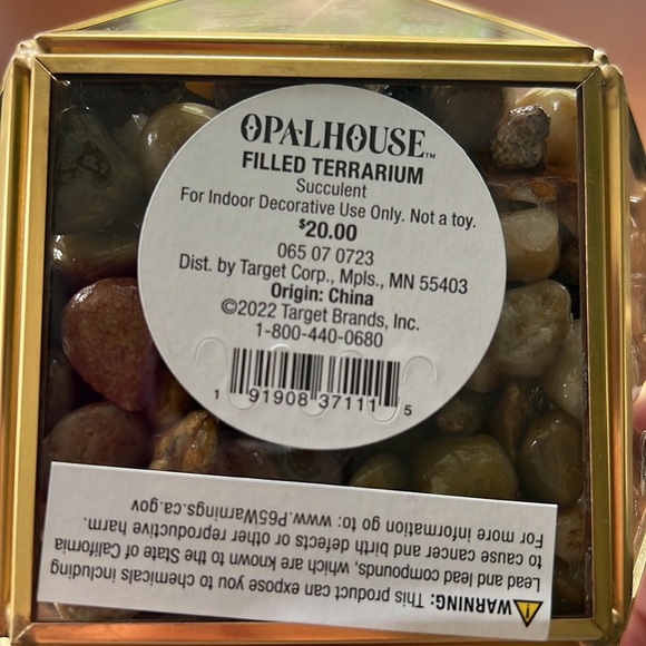 Set of 2 Opalhouse Filled Terrarium Faux Succulent Plant 4”x4” - Picture 5 of 9